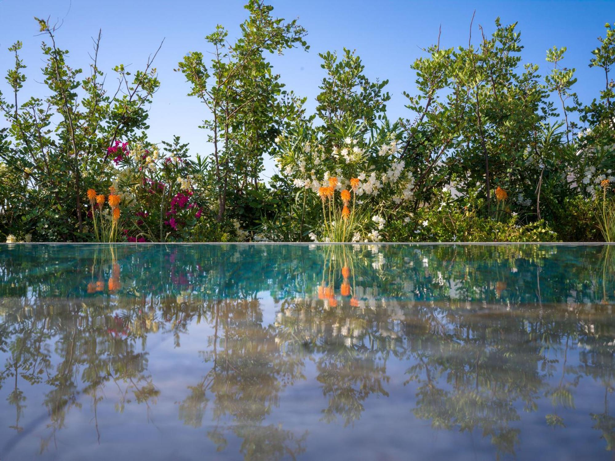 Nous Santorini Hotel Месария Екстериор снимка